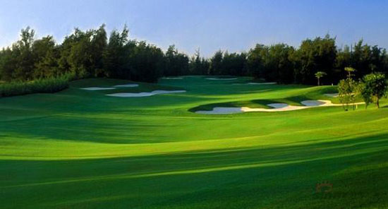 荷兰队出战，球场风暴卷土重来，球队气势如虹