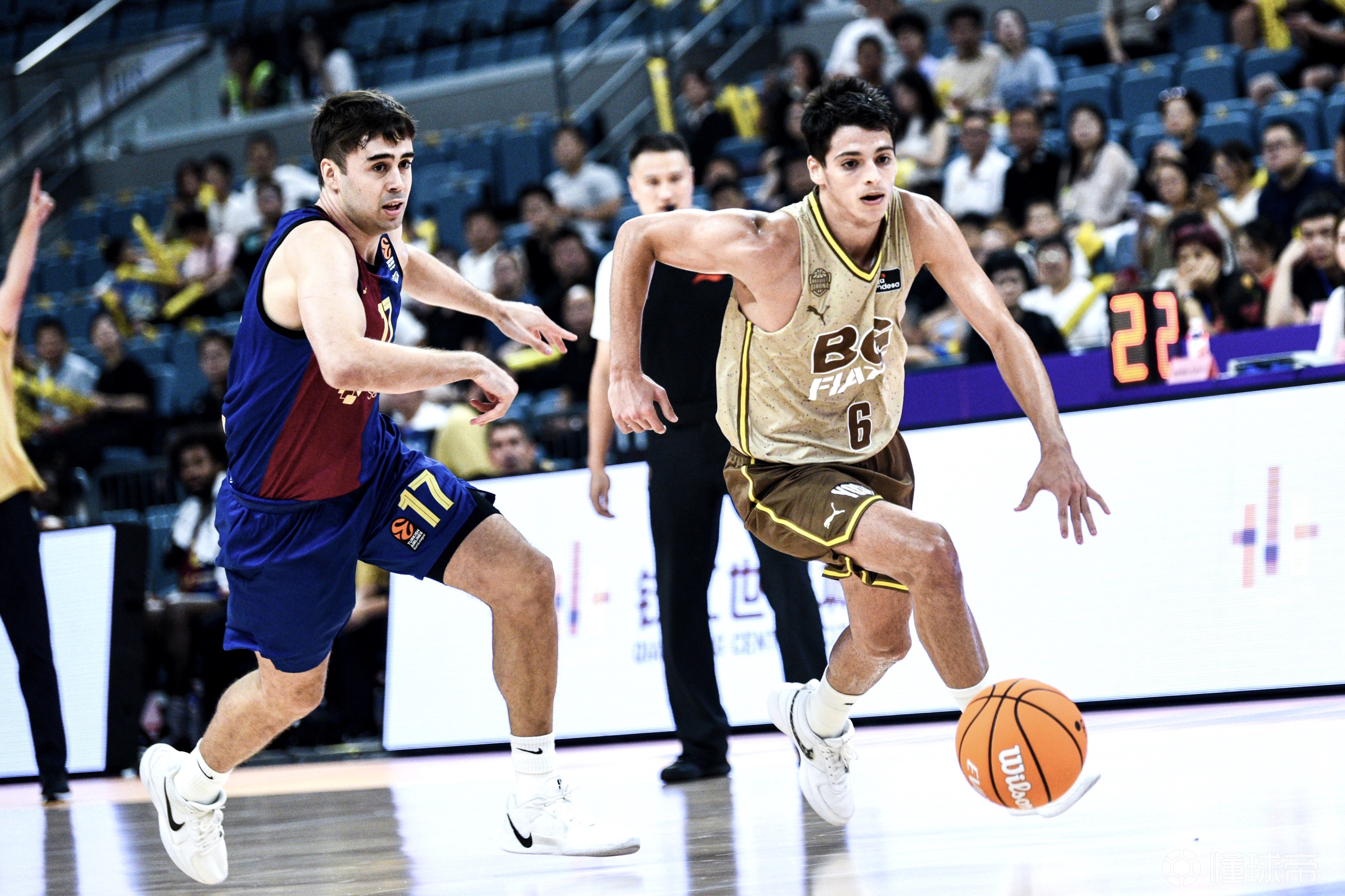 爱尔兰球队在世界篮球赛事中斩获佳绩