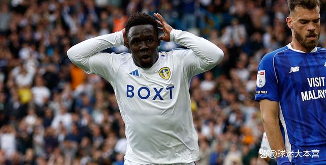 英国威廉希尔-利兹联被西汉姆联绝杀，惜败球场，积分保持不变