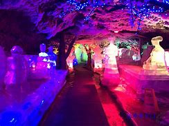 威廉希尔官网-水晶宫对换阿尔特纳南，触发力士赔贺力危阵