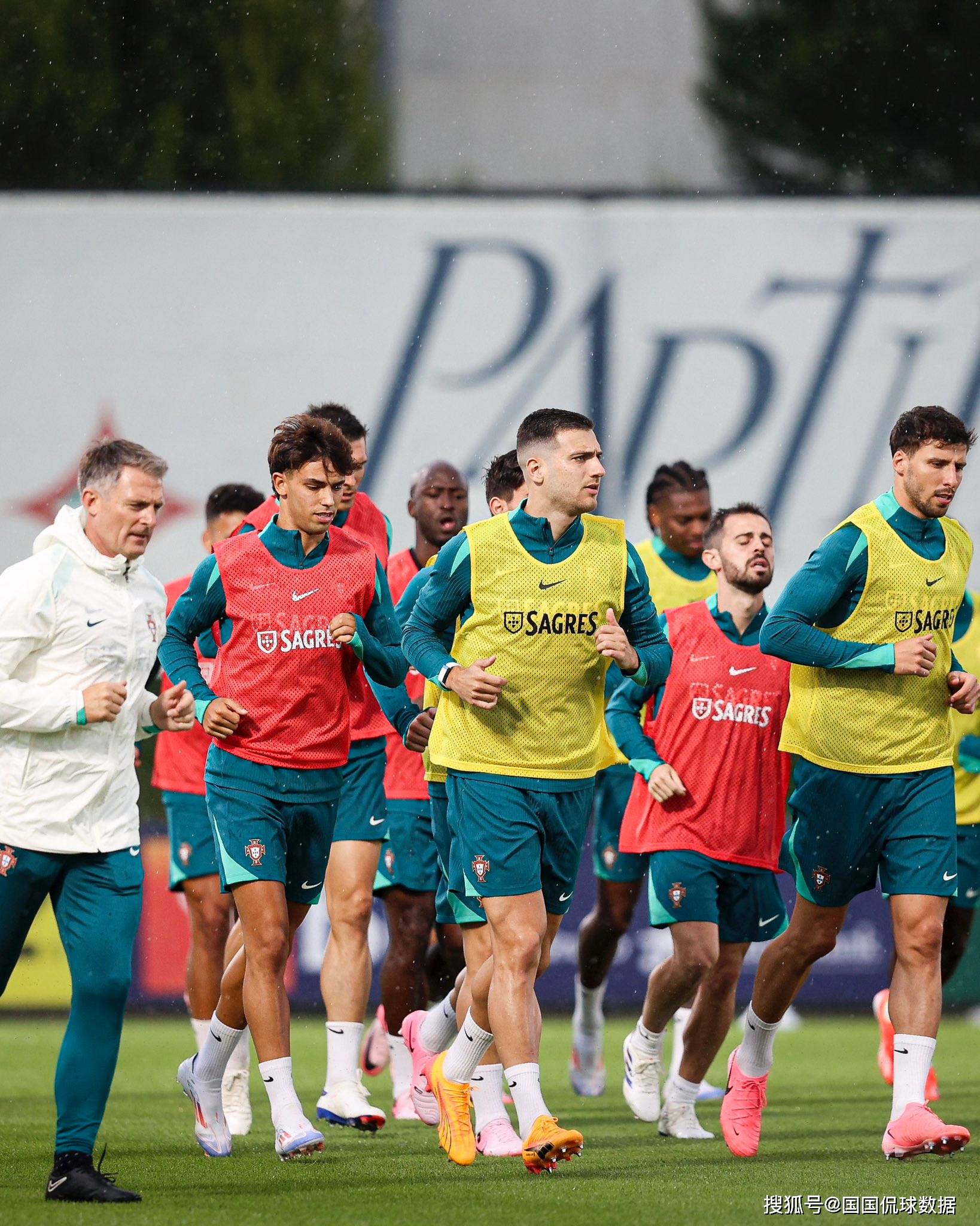 克罗地亚队主场3-1击败葡萄牙队