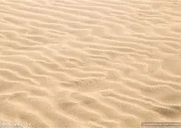 威廉希尔中文站-沙尔克04主场遇险，幸运逃脱败局