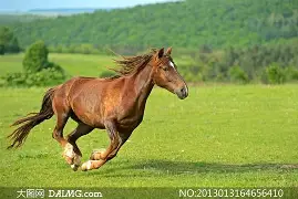 马林混双女团无招折让，去打东京血战