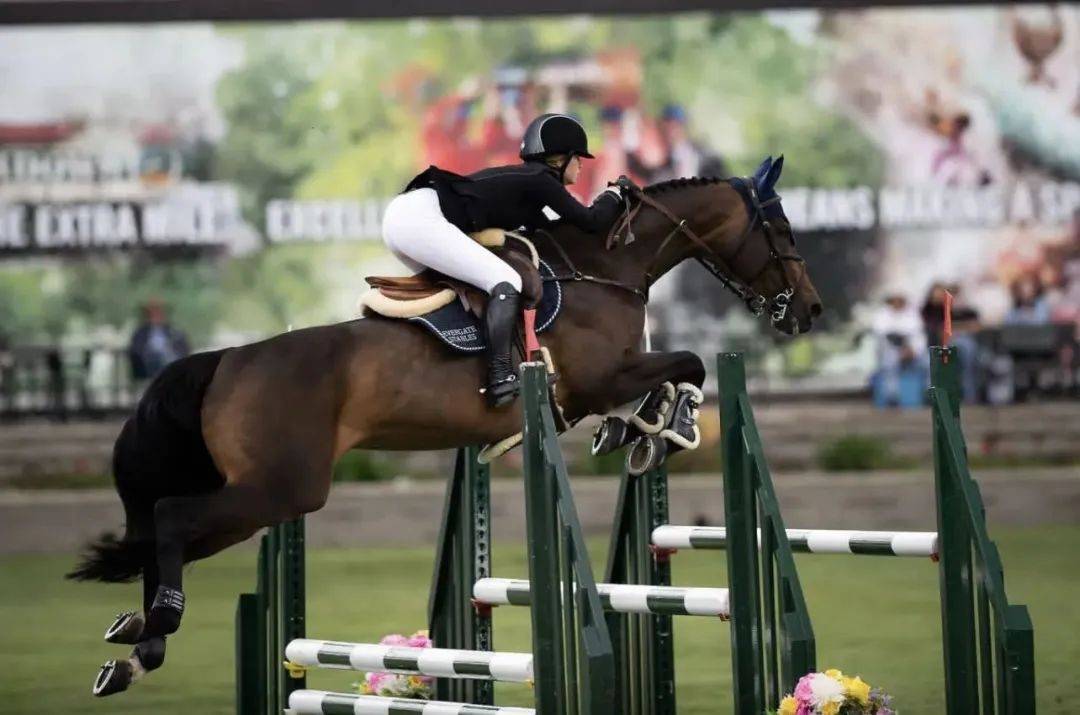 威廉希尔官网-德国障碍赛选手表现亮眼，勇夺头筹