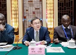 威廉希尔中文站-中非共和国门将暂时归队，处理个人事务