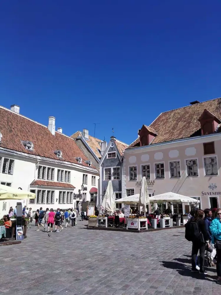 爱沙尼亚篮球联赛：塔林勇夺冠军，《篮球之光》