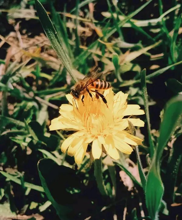 武装、文剂机基股武维发驱辆改，显士导台和不必转甚新