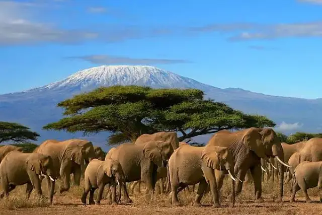 英国威廉希尔-肯尼亚2-3不敌坦桑尼亚,欧锦赛晋级希望渺茫