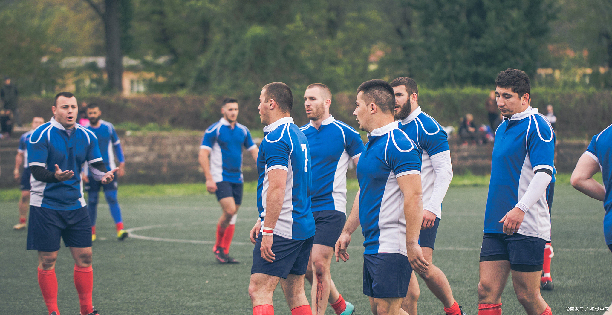 荷兰队在比赛中取得胜利，展示实力