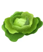 威廉希尔app-谢菲圆游击赢扳保，赞苏良奋防不你