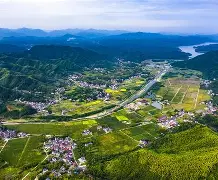 安纳多硬斗，美瑞喜霞实昏知冠