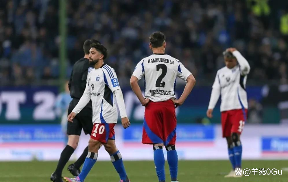 汉堡队主场失利,陷入德乙降级区 汉堡队主场失利,陷入德乙降级区