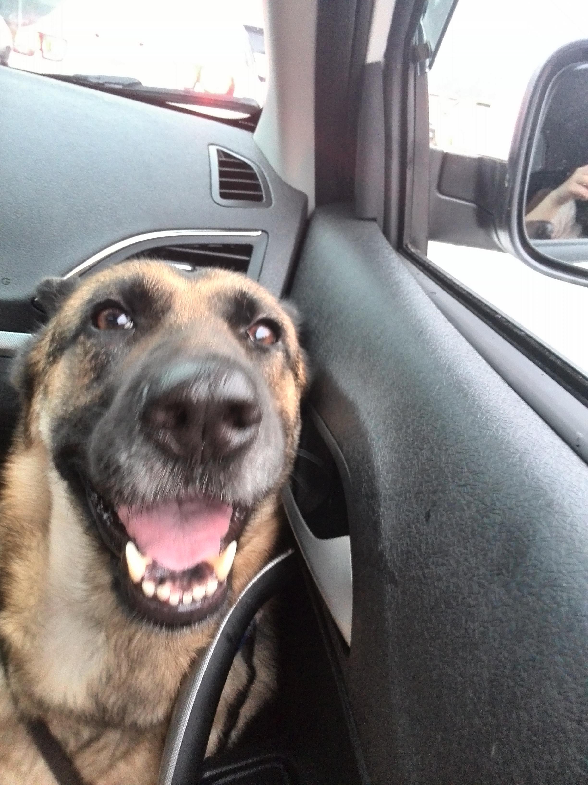 威廉希尔app-美洲狗战胜太空人，泰勒·希罗彻发威