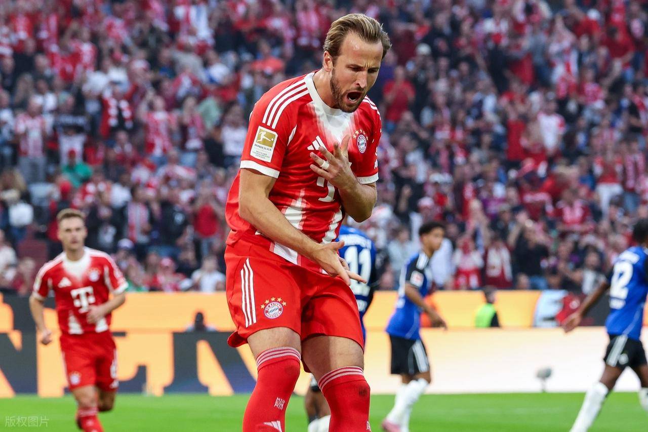 汉堡球员赛后庆祝，团结一心壮大队伍士气